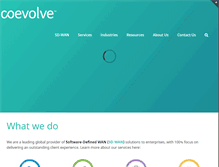 Tablet Screenshot of coevolve.com
